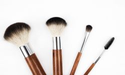 makeup-brush-1746322_1920